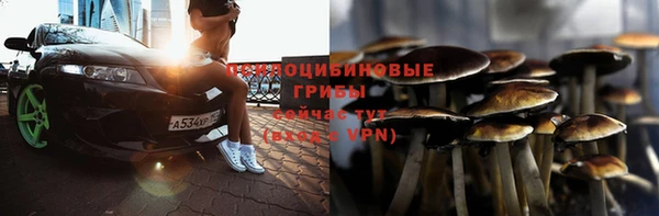крисы Абинск
