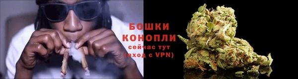 трава Абаза