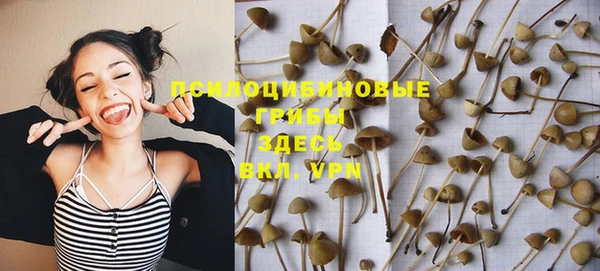 трава Абаза