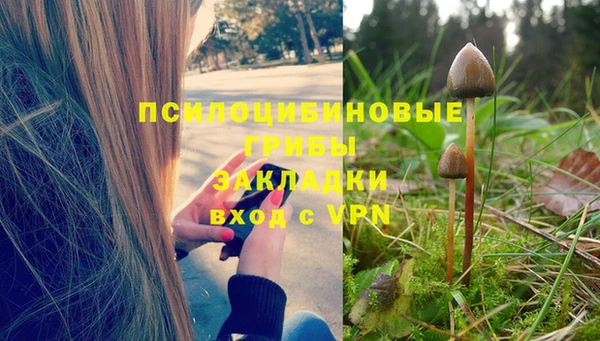 дмт Абдулино